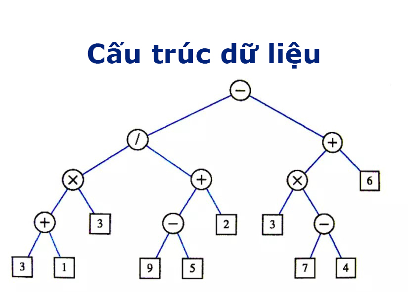 Các loại cấu trúc dữ liệu phổ biến cho sinh viên thiết kế website